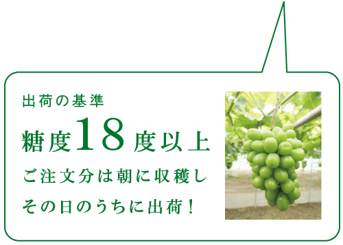 出荷