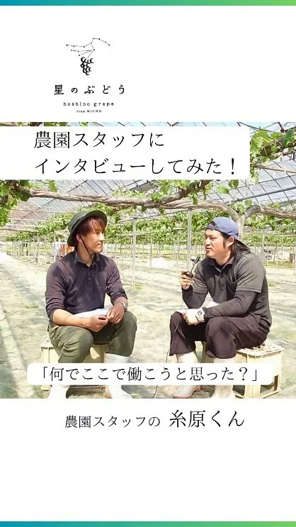 【働きやすい農園を目指してます】
農園で働くスタッフさんにインタビューしてみた！

農林大学校果樹専攻を卒業した後、令和5年4月からギアファームで社員として働きはじめ、将来は独立して自営農家を目指している糸原さんです。

┈┈┈┈┈┈┈┈┈┈
🍇星のぶどうの購入方法
ネットショップにて販売中！
 @gearfarm.hoshino　の
プロフィールトップURLをクリック
→「ネットで購入」からご購入可能です。
⁡
⁡
購入前に聞いておきたいこと
ご要望などがございましたら
お気軽にDMや公式LINEにてお問い合わせください☺️

┈┈┈┈┈┈┈┈┈┈
⁡
#ぶどう
#ぶどう農家
#ぶどう栽培
#シャインマスカット
#星のぶどう
#お取り寄せギフト
#雲南市
#島根
#農業求人