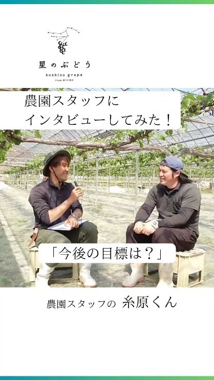 【自営就農を目指す方をサポートしています】
農園で働くスタッフさんにインタビューしてみた！part4

農林大学校果樹専攻を卒業した後、令和5年4月からギアファームで社員として働きはじめ、将来は独立して自営農家を目指している糸原さんです。

┈┈┈┈┈┈┈┈┈┈
🍇星のぶどうの購入方法
ネットショップにて販売中！
 @gearfarm.hoshino　の
プロフィールトップURLをクリック
→「ネットで購入」からご購入可能です。
⁡
⁡
購入前に聞いておきたいこと
ご要望などがございましたら
お気軽にDMや公式LINEにてお問い合わせください☺️

┈┈┈┈┈┈┈┈┈┈
⁡
#ぶどう
#ぶどう農家
#ぶどう栽培
#シャインマスカット
#星のぶどう
#お取り寄せギフト
#雲南市
#島根
#農業求人