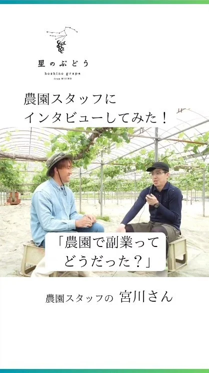 【副業として自然の中で仕事ができる農業】
農園で働くスタッフさんにインタビューしてみた！宮川さんpart1

本業でデスクワークをしながら、副業として令和4年5月よりギアファームで働きはじめた宮川さんです。

┈┈┈┈┈┈┈┈┈┈
🍇星のぶどうの購入方法
ネットショップにて販売中！
 @gearfarm.hoshino　の
プロフィールトップURLをクリック
→「ネットで購入」からご購入可能です。
⁡
⁡
購入前に聞いておきたいこと
ご要望などがございましたら
お気軽にDMや公式LINEにてお問い合わせください☺️

┈┈┈┈┈┈┈┈┈┈
⁡
#ぶどう
#ぶどう農家
#ぶどう栽培
#シャインマスカット
#星のぶどう
#お取り寄せギフト
#雲南市
#島根
#農業求人
#副業