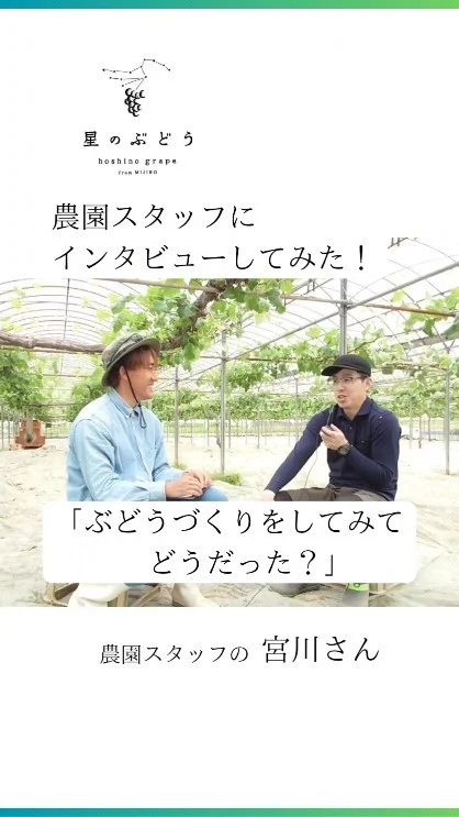 【「美味しかったです！」と送られたのを見るとやって良かったなって思います】
農園で働くスタッフさんにインタビューしてみた！宮川さんpart2

本業でデスクワークをしながら、副業として令和4年5月よりギアファームで働きはじめた宮川さんです。

┈┈┈┈┈┈┈┈┈┈
🍇星のぶどうの購入方法
ネットショップにて販売中！
 @gearfarm.hoshino　の
プロフィールトップURLをクリック
→「ネットで購入」からご購入可能です。
⁡
⁡
購入前に聞いておきたいこと
ご要望などがございましたら
お気軽にDMや公式LINEにてお問い合わせください☺️

┈┈┈┈┈┈┈┈┈┈
⁡
#ぶどう
#ぶどう農家
#ぶどう栽培
#シャインマスカット
#星のぶどう
#お取り寄せギフト
#雲南市
#島根
#農業求人
#副業