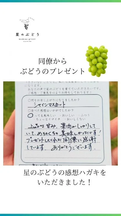 【星のぶどうの感想をいただきました】

プレゼントとして受け取られた方に、とても喜んでいただいています🍇

星のぶどうでギフトとして販売しているものは、受け取られる方に凄く喜んでいただけるようにと考えて作っています。

"ギフトで喜んでいただきたい"
そんな風に思っておられたら、是非星のぶどうを贈ってみてください🎁

┈┈┈┈┈┈┈┈┈┈
🍇星のぶどうの購入方法
ネットショップにて販売中！
 @gearfarm.hoshino　の
プロフィールトップURLをクリック
→「ネットで購入」からご購入可能です。
⁡
⁡
購入前に聞いておきたいこと
ご要望などがございましたら
お気軽にDMや公式LINEにてお問い合わせください☺️

┈┈┈┈┈┈┈┈┈┈
⁡
#ぶどう
#ぶどう農家
#ぶどう栽培
#シャインマスカット
#星のぶどう
#お取り寄せギフト
#雲南市
#島根