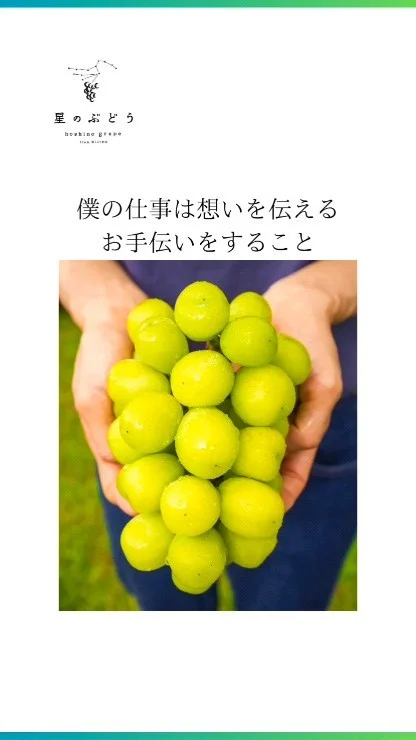 【あなたが大切な方と心通わせられますように】

大好きな人やお世話になった人には、その人が笑顔になる心込めた贈り物をしたい。
「大好き」や「感謝」の想いを伝えたい。

星のぶどうは、そんな想いをお届けする贈り物。

宝石のようなぶどうは、食べる方を笑顔にします✨

あなたの言葉を伝える、メッセージカードの同封サービスも実施中。

もちろん熨斗もお付けできます。

┈┈┈┈┈┈┈┈┈┈
🍇星のぶどうの購入方法
ネットショップにて販売中！
 @gearfarm.hoshino　の
プロフィールトップURLをクリック
→「ネットで購入」からご購入可能です。
⁡
⁡
購入前に聞いておきたいこと
ご要望などがございましたら
お気軽にDMや公式LINEにてお問い合わせください☺️

┈┈┈┈┈┈┈┈┈┈
⁡
#ぶどう
#ぶどう農家
#ぶどう栽培
#シャインマスカット
#星のぶどう
#お取り寄せギフト
#雲南市
#島根
