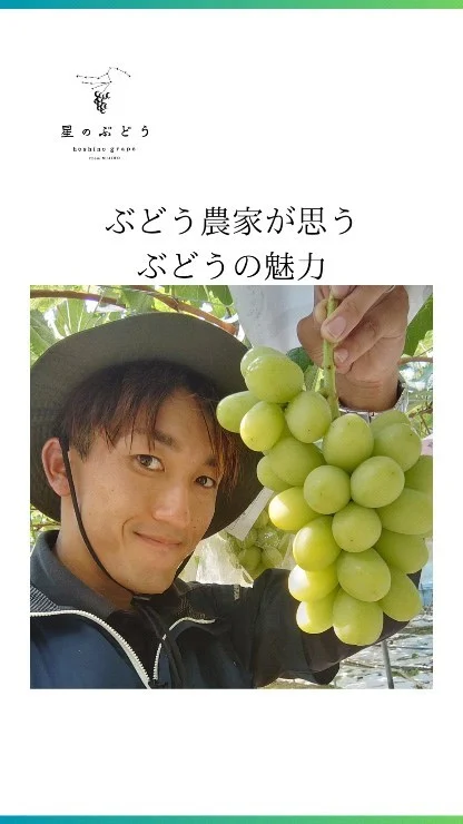 【あなたが思う🍇の魅力は？是非コメントいただけると嬉しいです！】

ぶどうの美味しさ、そこから生まれる笑顔の輪が、幸せな瞬間を作り出します。
そんな幸せな時を生む力を持っているぶどうは、魅力的な食べ物だって思いません？

お客様から喜びの感想をいただくたびに、ぶどう農家してて良かったな！って思います😊

┈┈┈┈┈┈┈┈┈┈
🍇星のぶどうの購入方法
ネットショップにて販売中！
 @gearfarm.hoshino　の
プロフィールトップURLをクリック
→「ネットで購入」からご購入可能です。
⁡
⁡
購入前に聞いておきたいこと
ご要望などがございましたら
お気軽にDMや公式LINEにてお問い合わせください☺️

┈┈┈┈┈┈┈┈┈┈
⁡
#ぶどう
#ぶどう農家
#ぶどう栽培
#シャインマスカット
#星のぶどう
#お取り寄せギフト
#雲南市
#島根
#クイーンセブン
#クイーンニーナ
#定期便