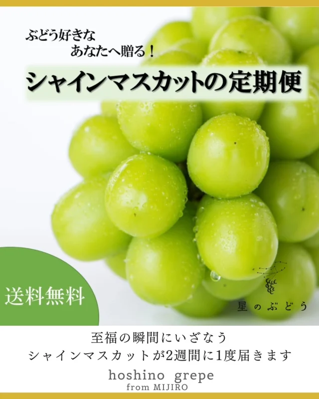 【申込締切は8月10日まで】

ぶどう好きなあなたへ贈る、お得なシャインマスカットの定期便🎁
みずみずしい新鮮な農家直送便で、２回または３回お届けします！

1回あたりのお届け量は、1房〜4房までお選びいただけます。

シャインマスカットが好きで何回でも食べたい！という声から生まれた新しいサービスです。
全国どこでも送料無料で、単品注文よりもお得なお値段にいたしました✨

ご注文はプロフィールのURLから、星のぶどう公式ホームページへアクセス👉

☆★☆★☆★☆★☆★☆★☆★☆★☆★☆★
《星のぶどうとは》
星が綺麗に見える空気の澄んだ神々の土地、ホタル舞う自然豊かな山々に囲まれたぶどう園で、祖父母から“ぶどう園”と“想い”を受け継いだ孫が、「美味しい！」と思わず笑顔になる感動ぶどうを目指して、手仕事で育て上げたぶどうです。
☆★☆★☆★☆★☆★☆★☆★☆★☆★☆★

お気軽にお問い合わせください！
星のぶどう公式LINEやDMから直接農園代表へお問い合わせいただけます。

詳しくはプロフィールページのURLへ

#星のぶどう 
#シャインマスカット 
#定期便 
#サブスク 
#雲南市 
#島根県 
#奥出雲 
#農家直送