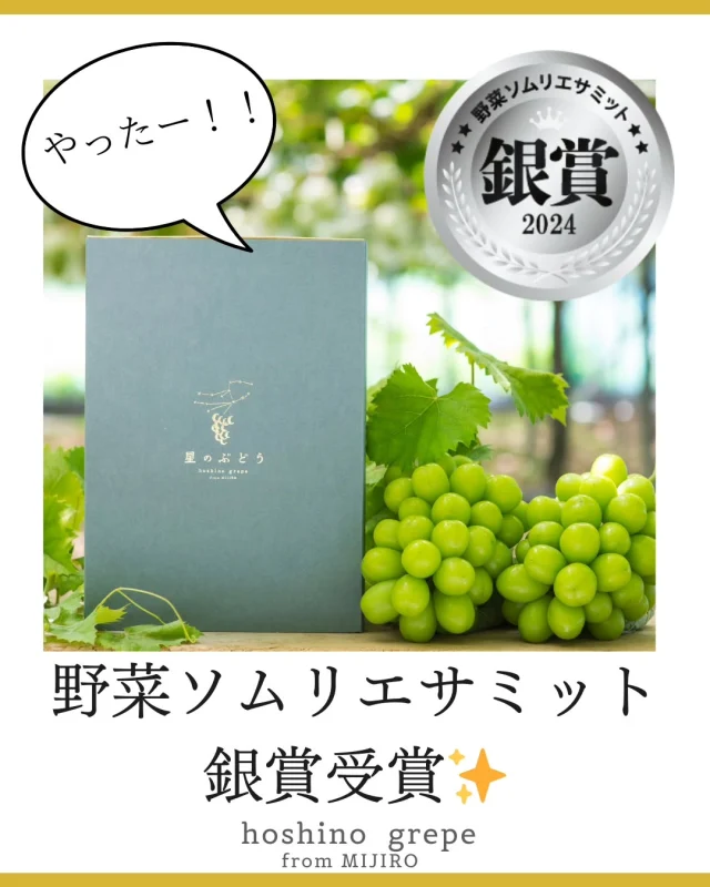 【食味が評価されました🏆️】
この美味しさは今しか味わえない🍇

農産物とその加工品の品評会・野菜ソムリエサミットにて、星のぶどうシャインマスカットが銀賞を受賞しました✨️

美味しさを10段階で評価されるこの品評会
銀賞は平均7点以上の獲得が必要になります。

野菜や果物の味に精通した野菜ソムリエさんが、どのような評価をされるのか…ドキドキの初挑戦でしたが、無事入賞できたことにホッとしています😌

正直、今年は昨年よりも糖度の上昇が緩やかで、僕が「これだっ！！」と思えるような究極の食味ではなかったんですが、それでも銀賞をいただけたことで、星のぶどうのポテンシャルを感じています。

これも長年土作りに力を注いできた祖父母の努力があってのことです。本当感謝ですね！

次は金賞・更に最高金賞を目指して、食味重視のぶどう栽培に一層力を入れていきます🍇

☆★☆★☆★☆★☆★☆★☆★☆★☆★☆★
《星のぶどうとは》
星が綺麗に見える空気の澄んだ神々の土地、ホタル舞う自然豊かな山々に囲まれたぶどう園で、祖父母から“ぶどう園”と“想い”を受け継いだ孫が、「美味しい！」と思わず笑顔になる感動ぶどうを目指して、手仕事で育て上げたぶどうです。
☆★☆★☆★☆★☆★☆★☆★☆★☆★☆★

┈┈┈┈┈┈┈┈┈┈
🍇星のぶどうの購入方法
ネットショップにて販売中！
 @gearfarm.hoshino　の
プロフィールトップURLをクリック
→「ネットで購入」からご購入可能です。

┈┈┈┈┈┈┈┈┈┈
⁡

お気軽にお問い合わせください！
星のぶどう公式LINEやDMから直接農園代表へお問い合わせいただけます。

詳しくはプロフィールページのURLへ

#星のぶどう 
#シャインマスカット 
#銀賞
#雲南市 
#島根県 
#奥出雲 
#農家直送